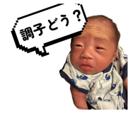 855316687