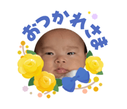 855318290