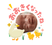 855318365