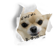 855319626