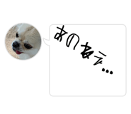855319631