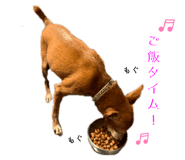855319955
