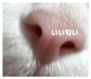 855322382