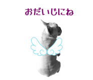 855322846