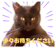 855323339