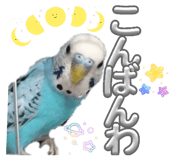 855323827