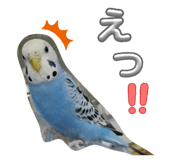 855323830