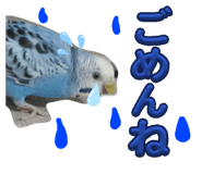 855323831