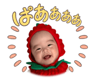 855323874