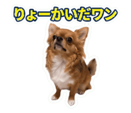 855324369