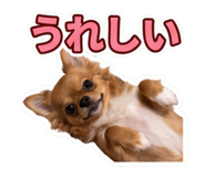 855324373