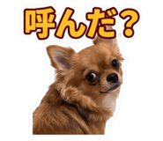 855324376