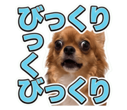 855324384