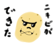 855325295
