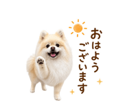 855326001