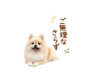 855326004