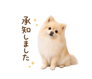 855326006