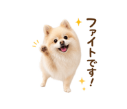 855326011