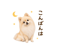 855326013