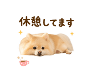 855326014