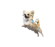 855327305
