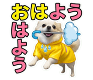 855327314