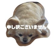 855327327