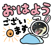 855327369