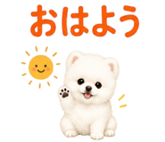 855328481