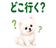 855328499