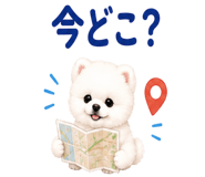 855328500