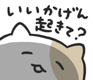 855329274