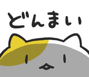 855329306