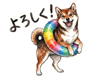 855333086