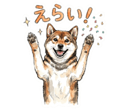 855333090