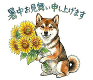 855333117
