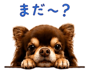 855336322