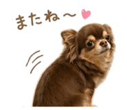 855336327