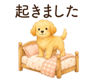 855339724