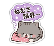 855341488