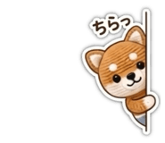 855341586