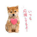 855344001