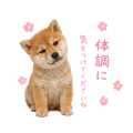 855344004