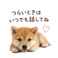 855344012