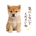 855344014