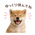 855344015