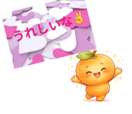 855344041