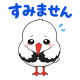 855344943