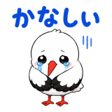 855344951
