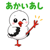 855344962